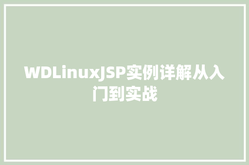 WDLinuxJSP实例详解从入门到实战