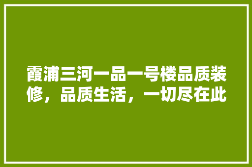 霞浦三河一品一号楼品质装修，品质生活，一切尽在此楼