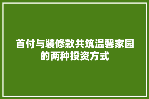 首付与装修款共筑温馨家园的两种投资方式