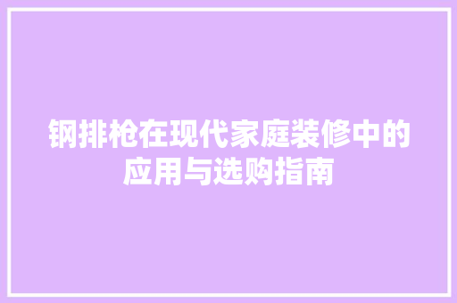 钢排枪在现代家庭装修中的应用与选购指南