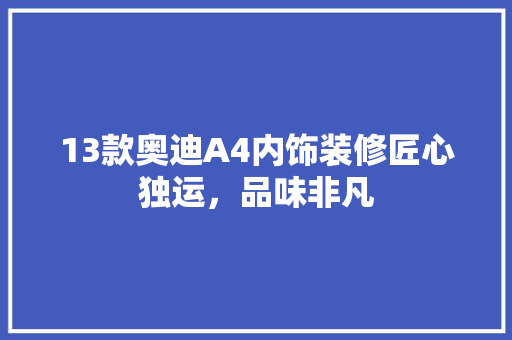13款奥迪A4内饰装修匠心独运，品味非凡