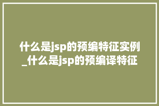 什么是jsp的预编特征实例_什么是jsp的预编译特征