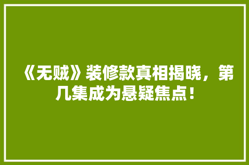 《无贼》装修款真相揭晓，第几集成为悬疑焦点！