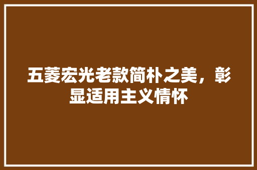 五菱宏光老款简朴之美，彰显适用主义情怀