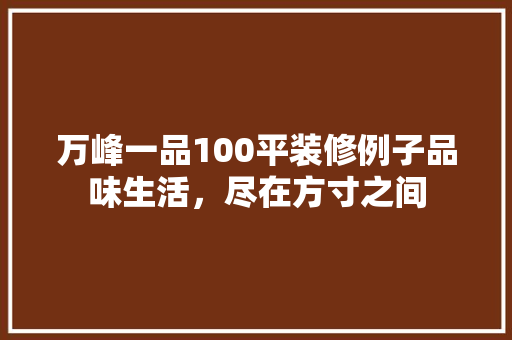 万峰一品100平装修例子品味生活，尽在方寸之间