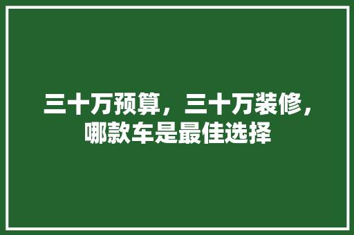 三十万预算，三十万装修，哪款车是最佳选择