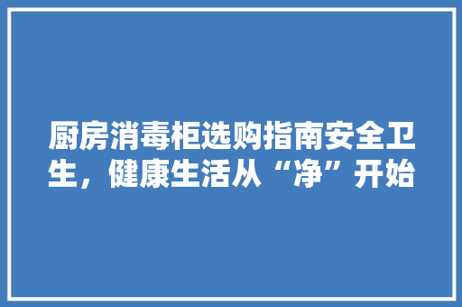 厨房消毒柜选购指南安全卫生，健康生活从“净”开始