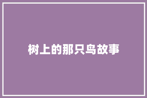 怎么查看jsp使用什么框架实例_如何查看JSP使用什么框架实例,JSP框架识别方法