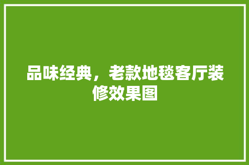 品味经典，老款地毯客厅装修效果图