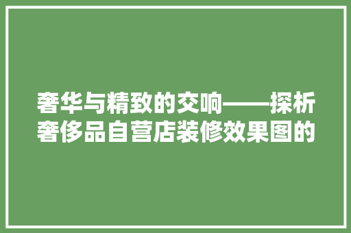 奢华与精致的交响——探析奢侈品自营店装修效果图的艺术魅力