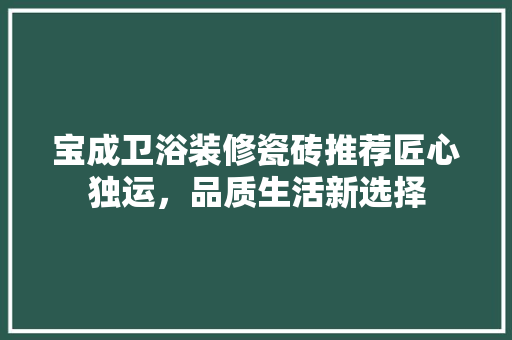 宝成卫浴装修瓷砖推荐匠心独运，品质生活新选择