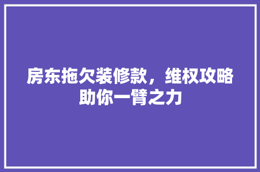 房东拖欠装修款，维权攻略助你一臂之力