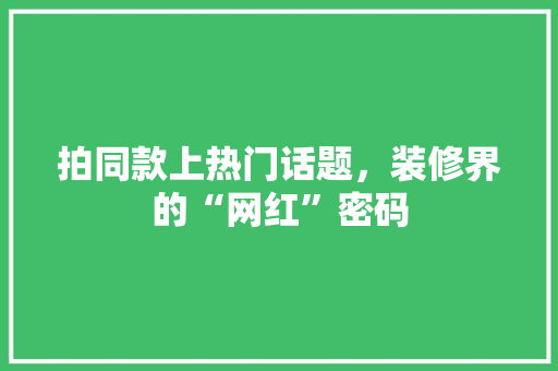 拍同款上热门话题，装修界的“网红”密码