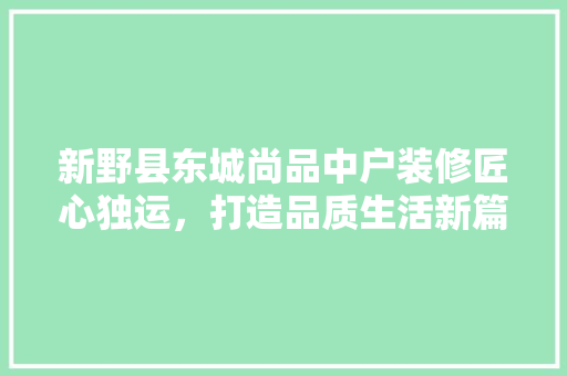 新野县东城尚品中户装修匠心独运，打造品质生活新篇章