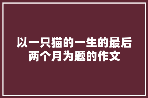 秋冬时尚新宠——中长款女套装修身魅力