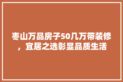 枣山万品房子50几万带装修，宜居之选彰显品质生活