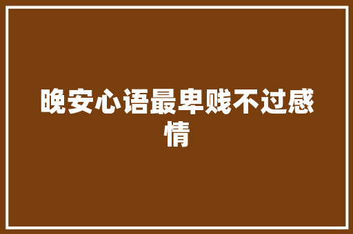 夏季女装套装修身攻略打造精致夏季穿搭，尽显优雅身姿