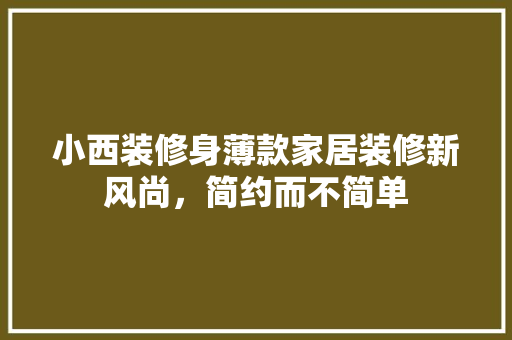 小西装修身薄款家居装修新风尚，简约而不简单