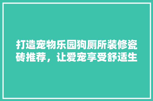 打造宠物乐园狗厕所装修瓷砖推荐，让爱宠享受舒适生活