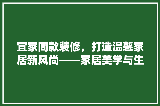 宜家同款装修，打造温馨家居新风尚——家居美学与生活品质的完美融合