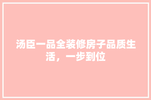 汤臣一品全装修房子品质生活，一步到位