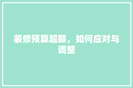 装修预算超额，如何应对与调整