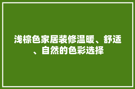 浅棕色家居装修温暖、舒适、自然的色彩选择
