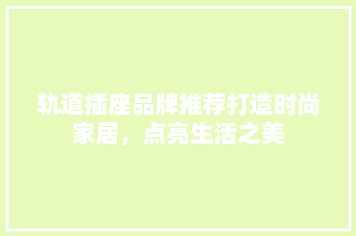 轨道插座品牌推荐打造时尚家居，点亮生活之美