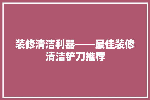 装修清洁利器——最佳装修清洁铲刀推荐  第1张
