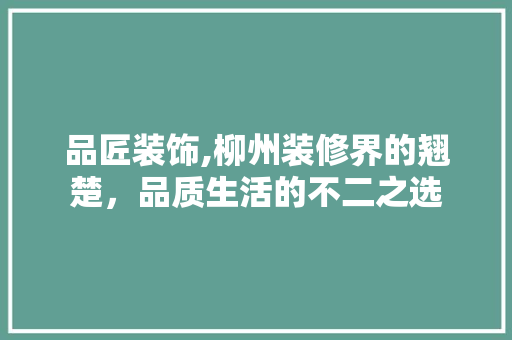 品匠装饰,柳州装修界的翘楚，品质生活的不二之选
