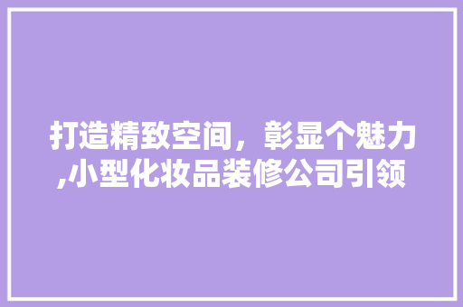 打造精致空间，彰显个魅力,小型化妆品装修公司引领行业新风尚