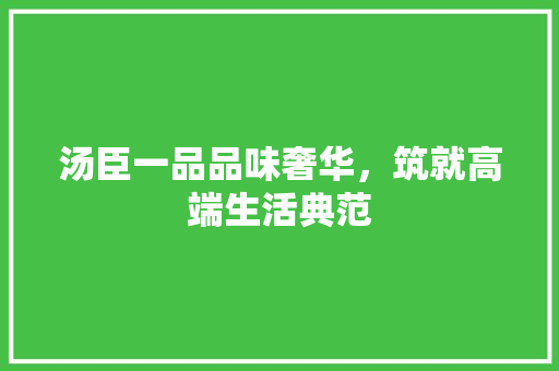 汤臣一品品味奢华，筑就高端生活典范