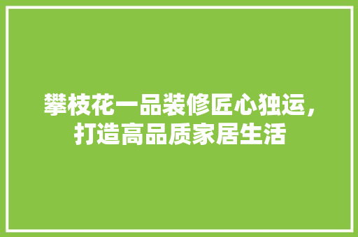 攀枝花一品装修匠心独运，打造高品质家居生活