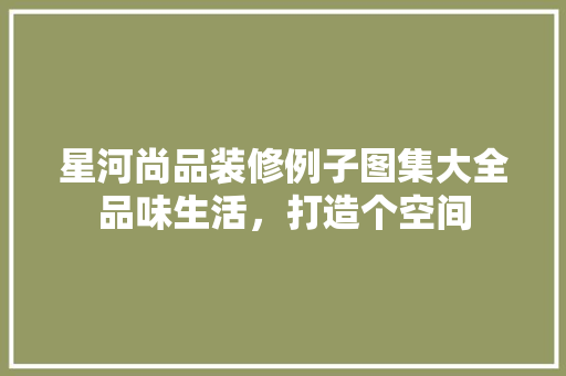 星河尚品装修例子图集大全品味生活，打造个空间