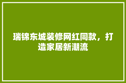 瑞锦东城装修网红同款，打造家居新潮流