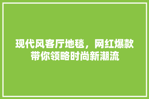 现代风客厅地毯，网红爆款带你领略时尚新潮流