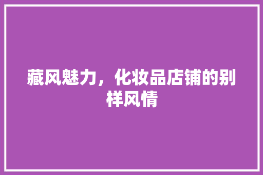 藏风魅力，化妆品店铺的别样风情