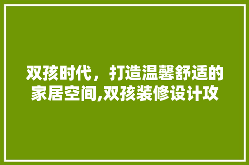 双孩时代，打造温馨舒适的家居空间,双孩装修设计攻略
