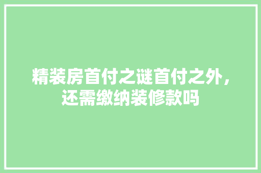 精装房首付之谜首付之外，还需缴纳装修款吗