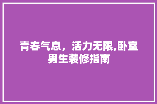 青春气息，活力无限,卧室男生装修指南