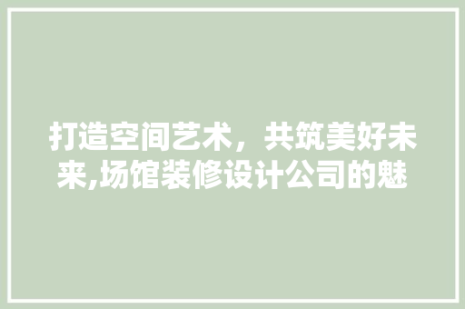 打造空间艺术，共筑美好未来,场馆装修设计公司的魅力与实力