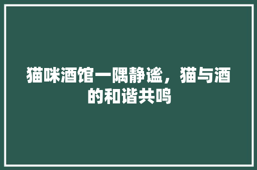 猫咪酒馆一隅静谧，猫与酒的和谐共鸣
