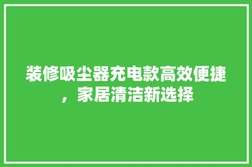 装修吸尘器充电款高效便捷，家居清洁新选择  第1张