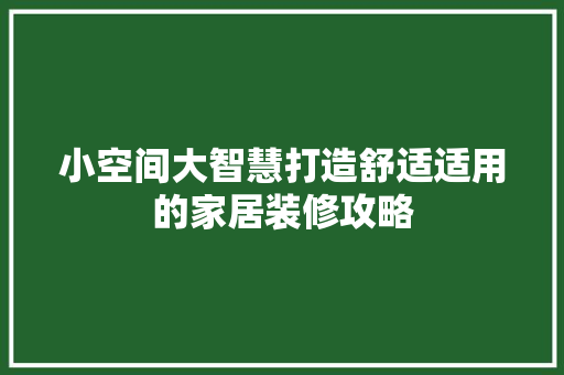 小空间大智慧打造舒适适用的家居装修攻略  第1张