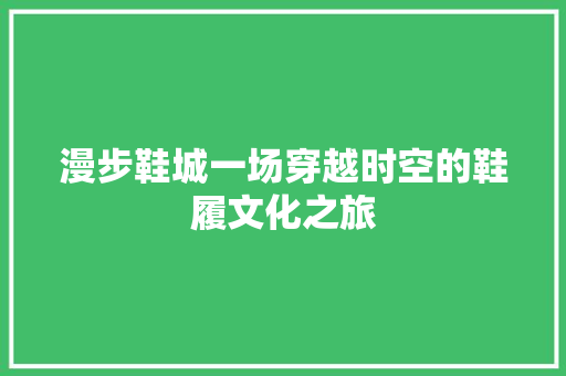 漫步鞋城一场穿越时空的鞋履文化之旅  第1张