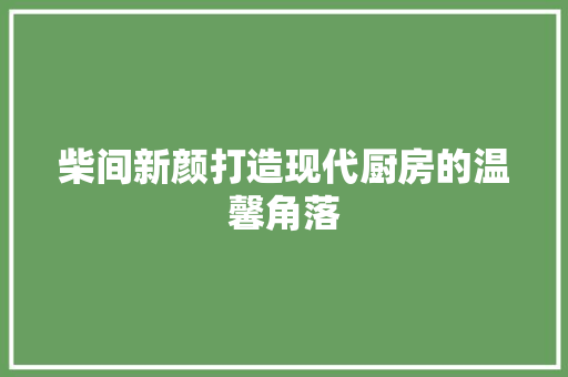 柴间新颜打造现代厨房的温馨角落