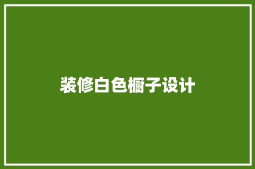装修白色橱子设计