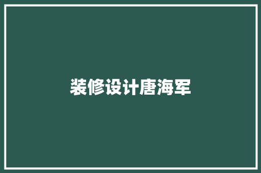 装修设计唐海军