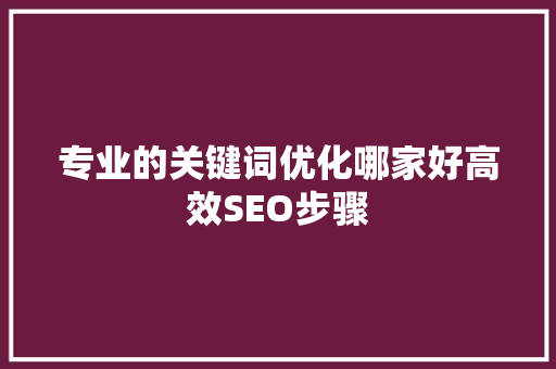 专业的关键词优化哪家好高效SEO步骤