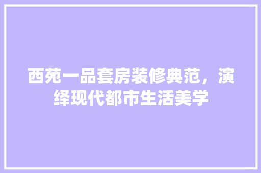 西苑一品套房装修典范，演绎现代都市生活美学